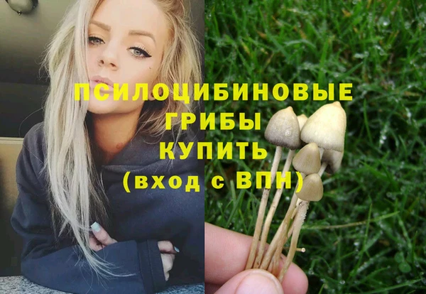 тгк Арсеньев