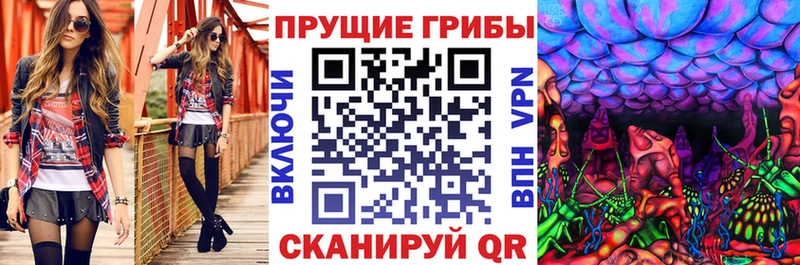 Псилоцибиновые грибы мицелий  продажа наркотиков  Приволжск 