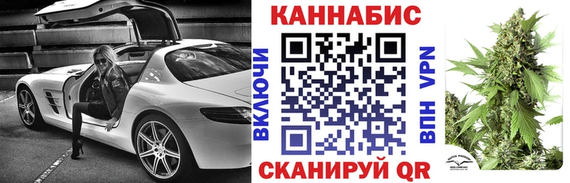 Бошки Шишки план  Приволжск 